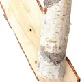 برگ توس