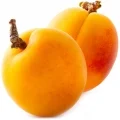 زردآلو آبدار