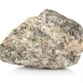 هسته میوه