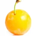 میرا بل